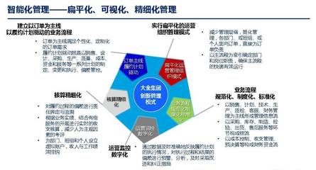 兩化融合如何推動企業創新發展——專訪大全集團執行總裁葛飛
